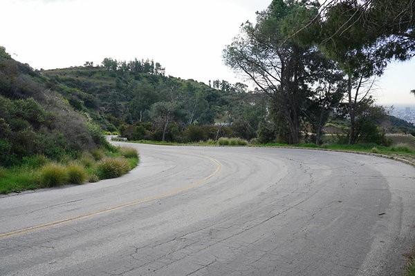 mt-hollywood-dr-2024-125