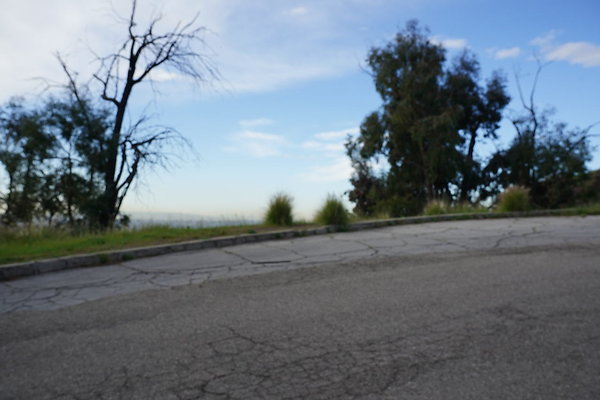 mt-hollywood-dr-2024-145