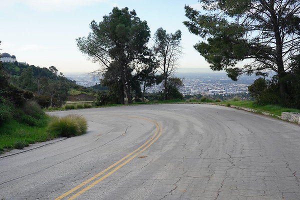 mt-hollywood-dr-2024-121