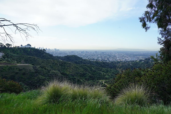 mt-hollywood-dr-2024-138