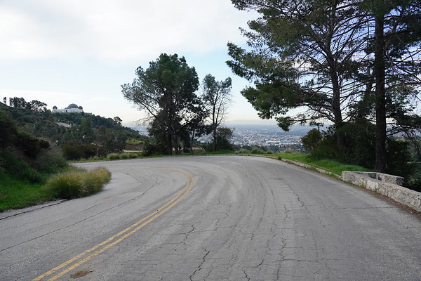 mt-hollywood-dr-2024-122