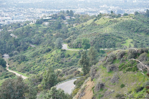 mt-hollywood-dr-2024-141