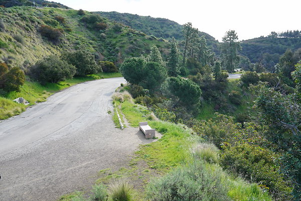 mt-hollywood-dr-2024-156