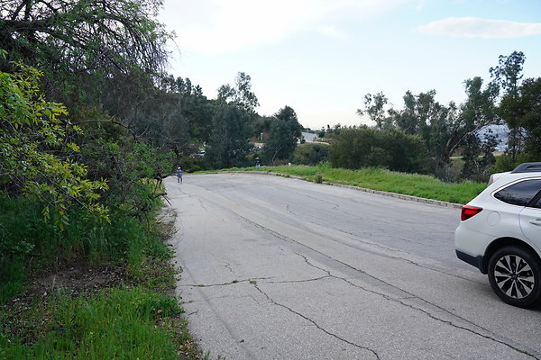 mt-hollywood-dr-2024-103