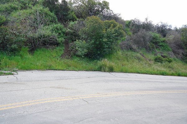 mt-hollywood-dr-2024-112