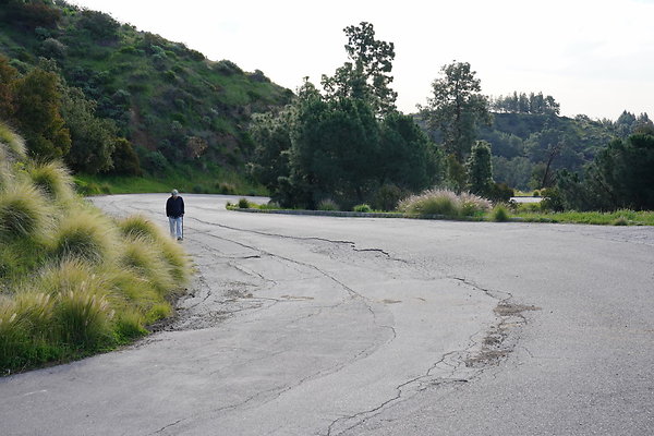 mt-hollywood-dr-2024-157