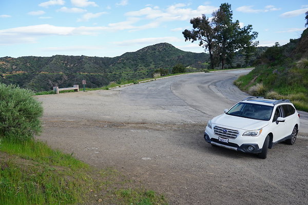 mt-hollywood-dr-2024-148