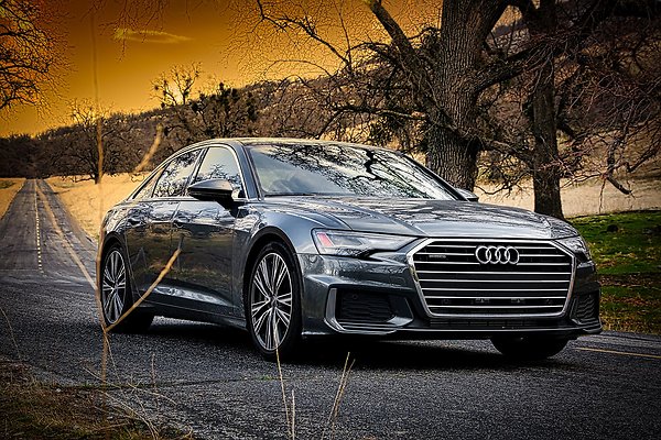 433A9710audifront3:4treesorange1