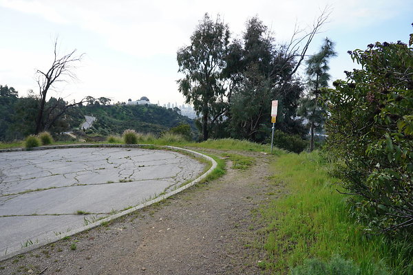 mt-hollywood-dr-2024-132