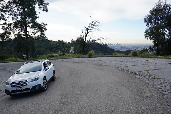 mt-hollywood-dr-2024-135