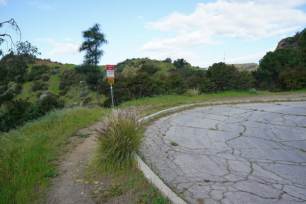 mt-hollywood-dr-2024-142