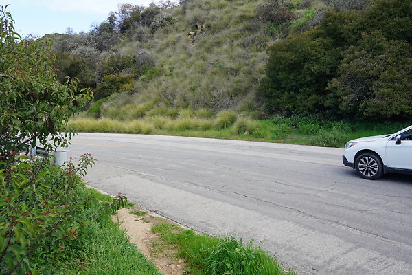 mt-hollywood-dr-2024-106