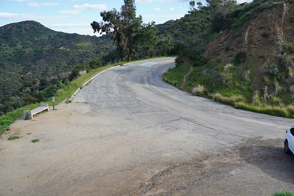 mt-hollywood-dr-2024-154