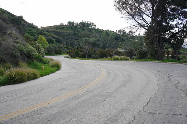 mt-hollywood-dr-2024-126
