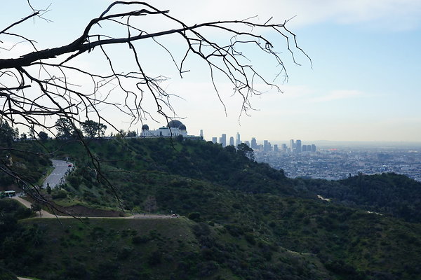 mt-hollywood-dr-2024-140