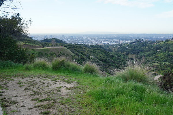 mt-hollywood-dr-2024-134