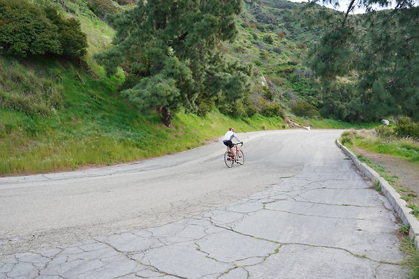 mt-hollywood-dr-2024-139