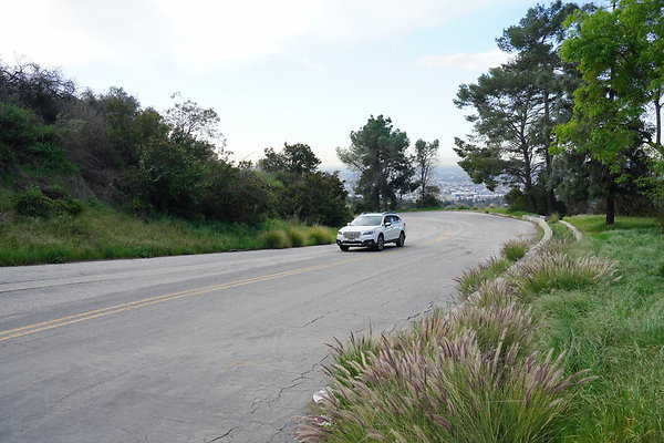 mt-hollywood-dr-2024-113