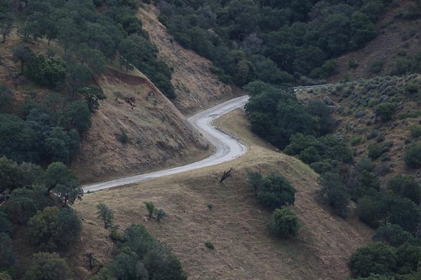 Tejon-DWR-Rd-005 mm 9.1 curves wo car