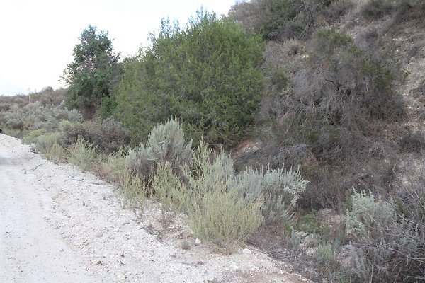 soledad cyn rd 046