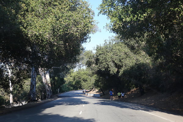 Griffith Park Driving