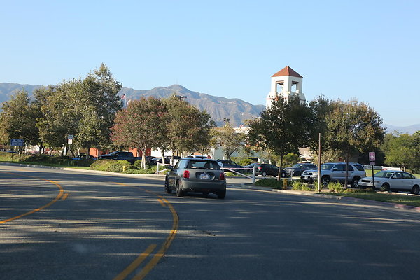 Zoo Drive Griffith Park