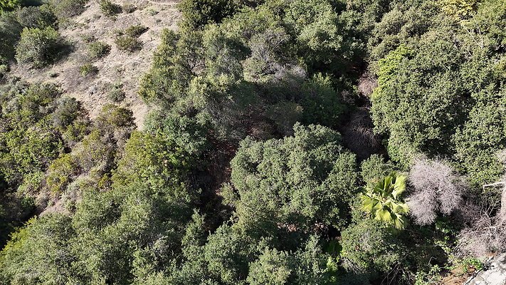 DJI 20251121125553 0004 D - 0.9.142 DJI 20251121125553 0004 D - 0.9.142