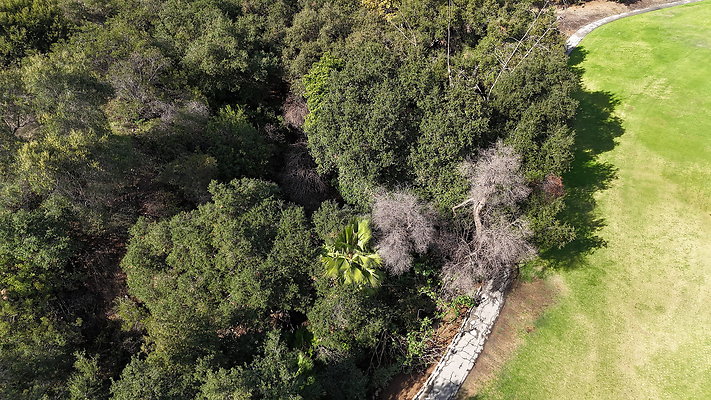 DJI 20251121125548 0003 D - 0.9.142 DJI 20251121125548 0003 D - 0.9.142