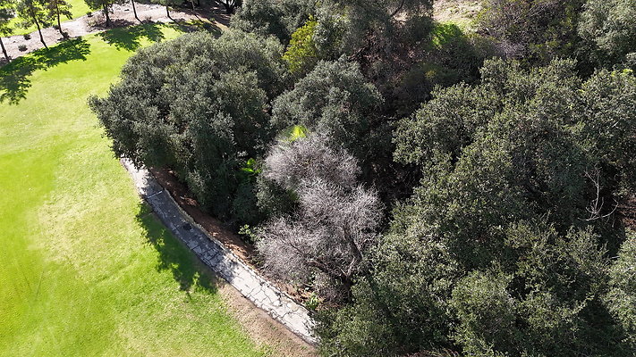 DJI 20251121125659 0012 D - 0.9.142