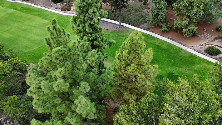 DJI 20251121154233 0044 D - 0.9.142 DJI 20251121154233 0044 D - 0.9.142