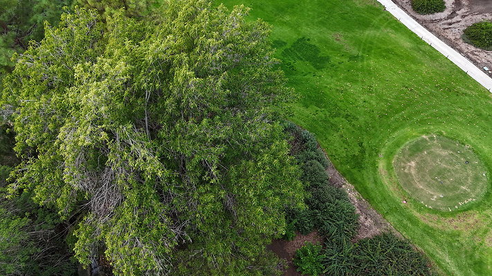 DJI 20251121154216 0043 D - 0.9.142 DJI 20251121154216 0043 D - 0.9.142