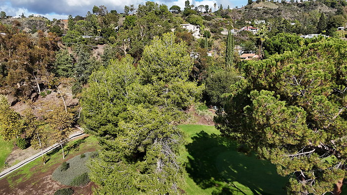 DJI 20251121131928 0022 D - 0.9.142 DJI 20251121131928 0022 D - 0.9.142