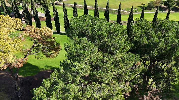 DJI 20251121125604 0006 D - 0.9.142 DJI 20251121125604 0006 D - 0.9.142