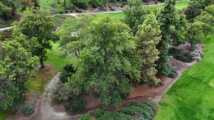 DJI 20251121154048 0036 D - 0.9.142 DJI 20251121154048 0036 D - 0.9.142