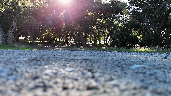 DJI 20251125142032 0102 D - 0.9.142