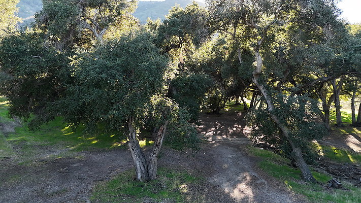 DJI 20251125141940 0097 D - 0.9.142