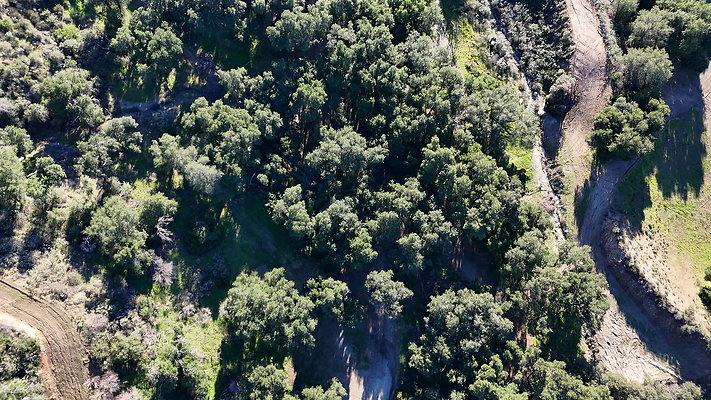 DJI 20251125141732 0085 D - 0.9.142