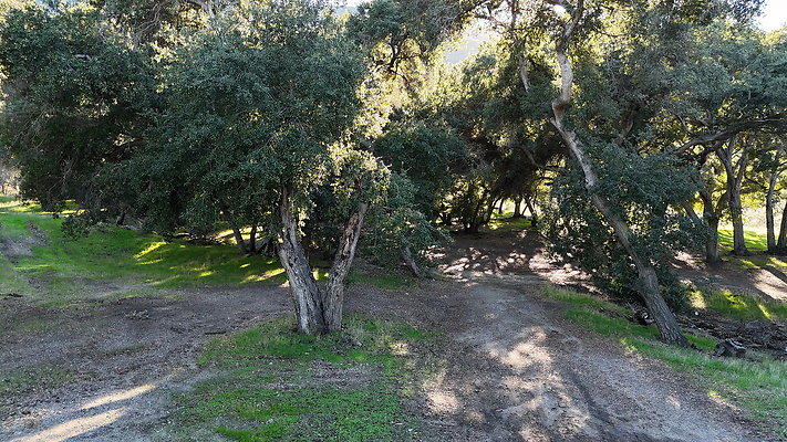 DJI 20251125141954 0098 D - 0.9.142