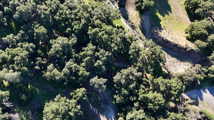 DJI 20251125141723 0083 D - 0.9.142