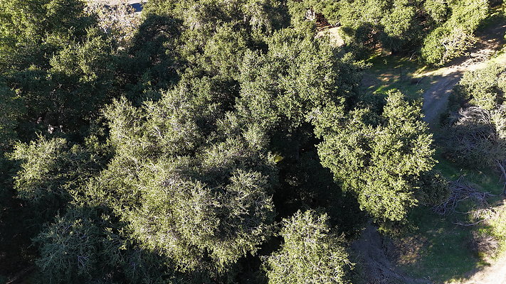 DJI 20251125141641 0079 D - 0.9.142