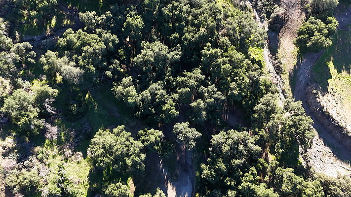 DJI 20251125141725 0084 D - 0.9.142