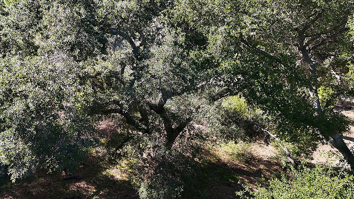 DJI 20251125114546 0056 D - 0.9.142