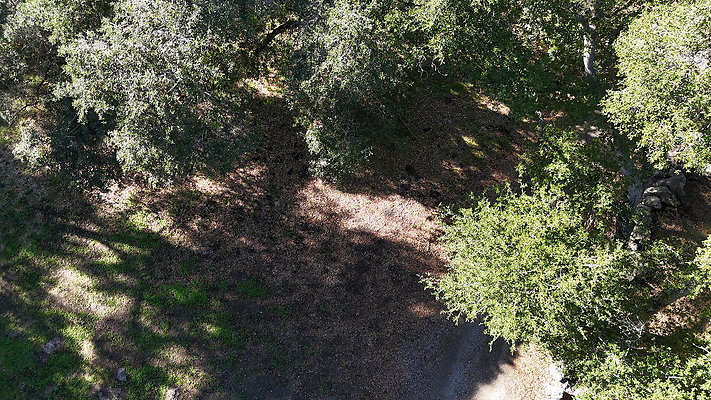 DJI 20251125114556 0057 D - 0.9.142