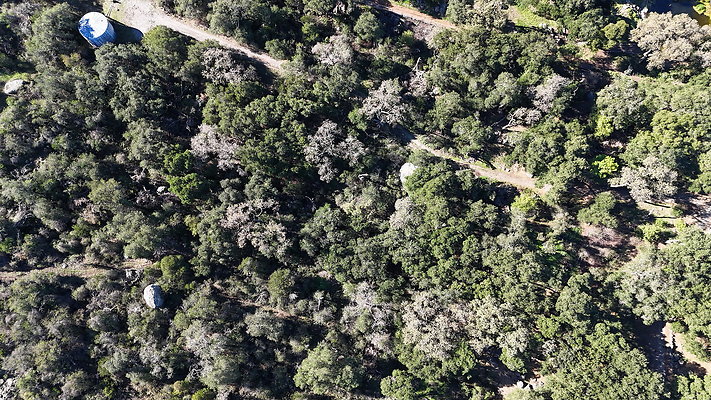 DJI 20251125114338 0048 D - 0.9.142