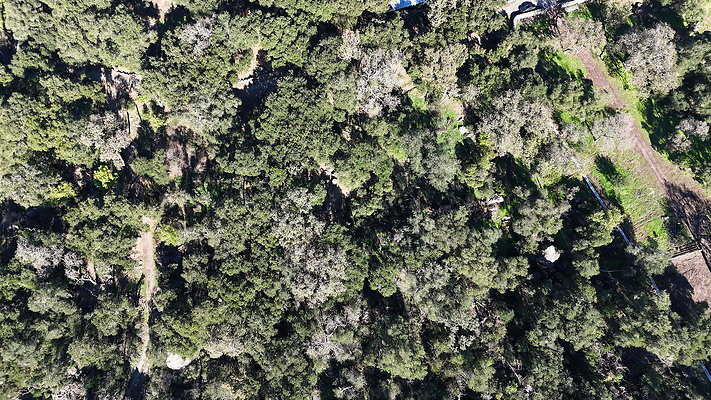 DJI 20251125114323 0046 D - 0.9.142