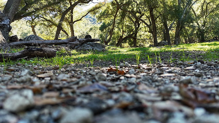 DJI 20251125114630 0060 D - 0.9.142