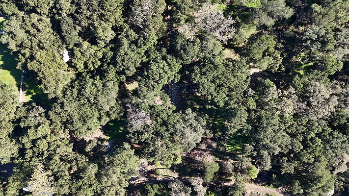 DJI 20251125114111 0031 D - 0.9.142