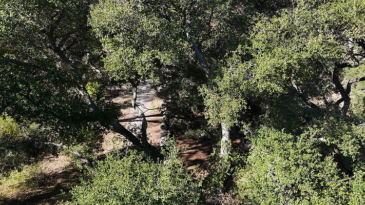 DJI 20251125114543 0055 D - 0.9.142