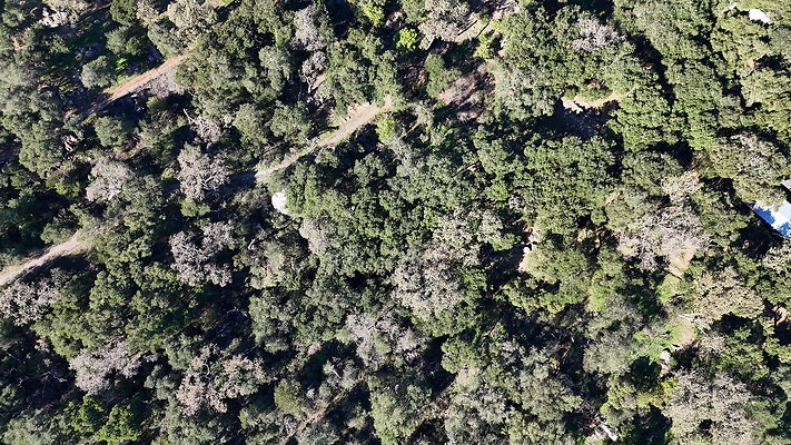 DJI 20251125114328 0047 D - 0.9.142