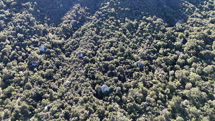 DJI 20251125114355 0050 D - 0.9.142